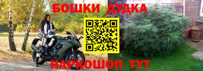 Альфа ПВП Краснокаменск