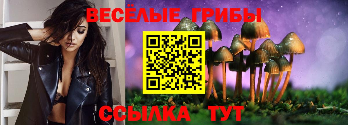 Псилоцибиновые грибы мицелий Кизляр