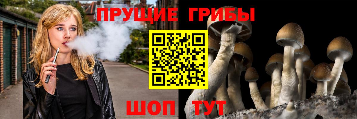 Псилоцибиновые грибы мицелий  Вход с VPN  Кизляр 